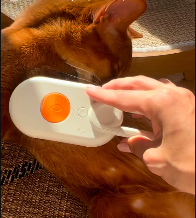 Pet Steam Brush