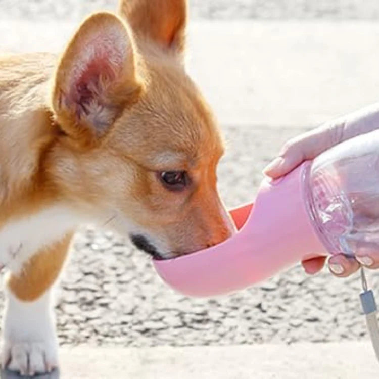 Mutifunctional Pet Water Bottle