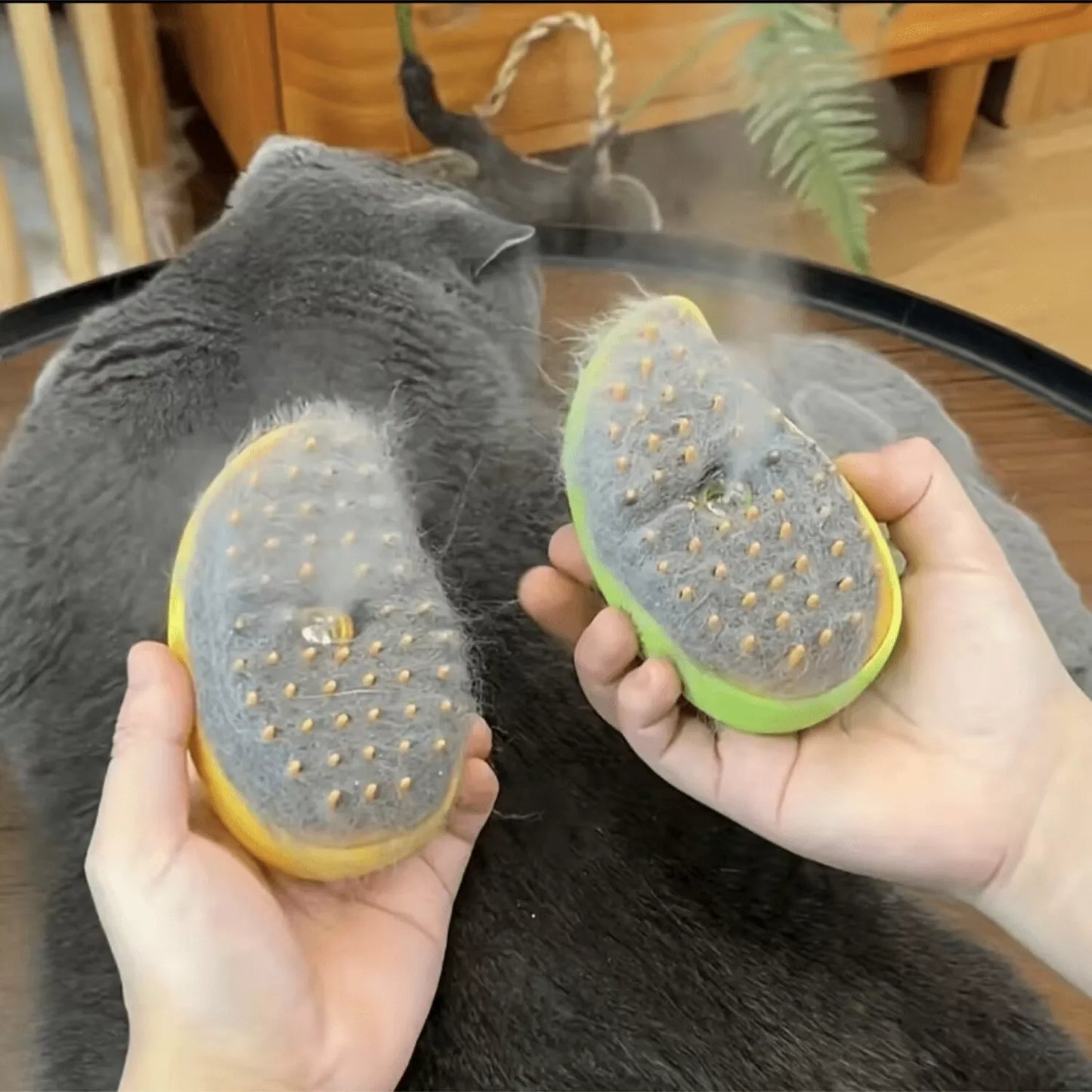 Pet Steam Brush